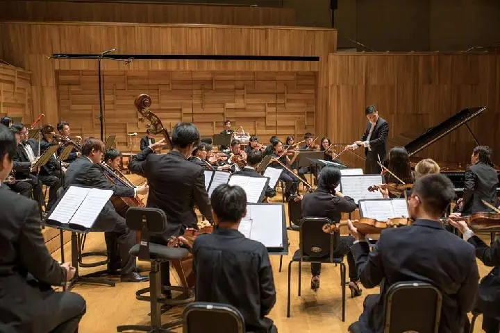 Resonates With: ADDO Chamber Orchestra